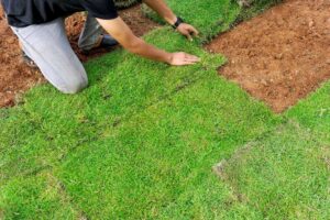 a person placing grass on the ground